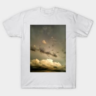 The Splendor T-Shirt